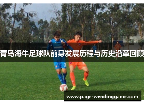 青岛海牛足球队前身发展历程与历史沿革回顾