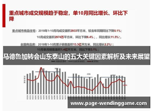 马德鲁加转会山东泰山的五大关键因素解析及未来展望