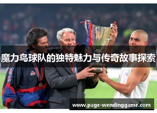 魔力鸟球队的独特魅力与传奇故事探索