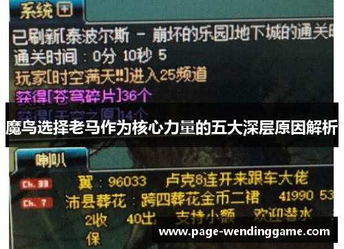 魔鸟选择老马作为核心力量的五大深层原因解析